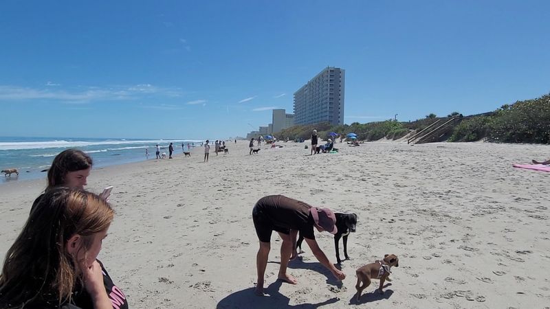 Canova Dog Beach