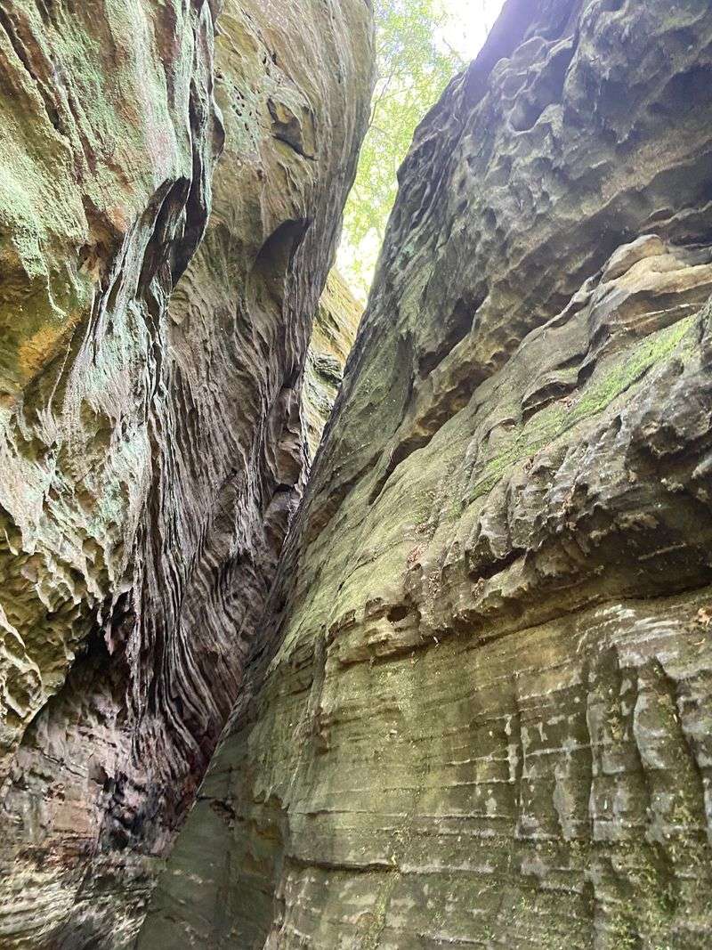 Cantwell Cliffs Gorge Trail, Rockbridge
