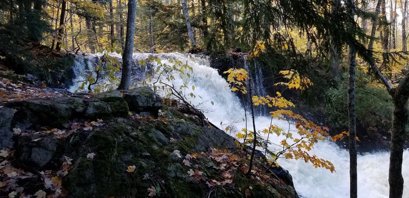 Wyandotte Falls (Twin Lakes Area)