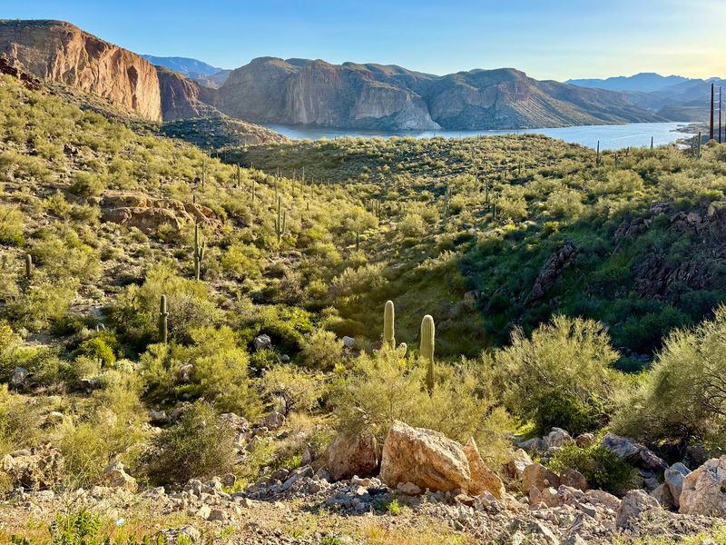 Canyon Lake Vista