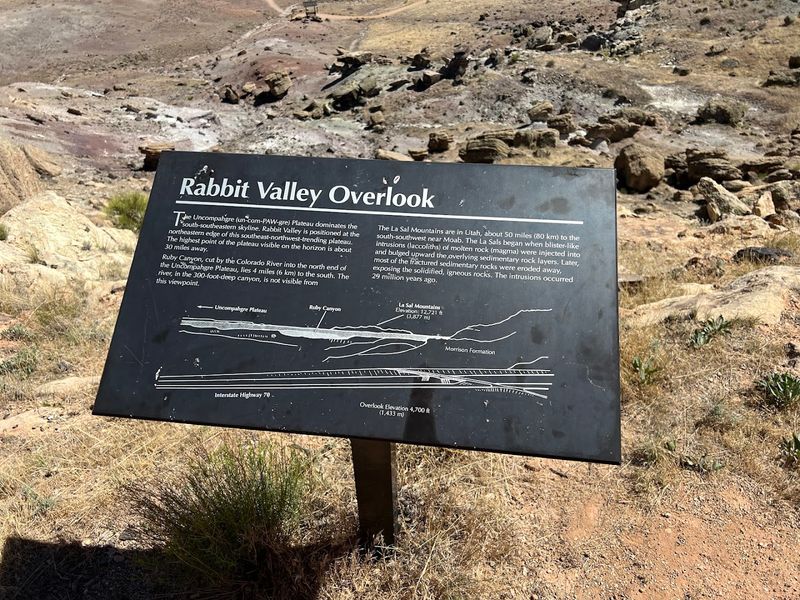 Rabbit Valley Trail Through Time - Rabbit Valley / Mack Area