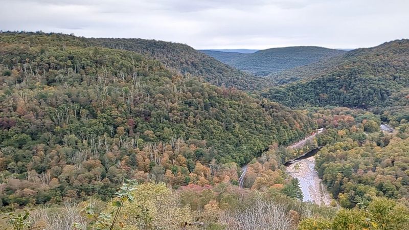 Canyon Vista Trail At Worlds End State Park, Forksville, Pennsylvania Canyon Vista Trail At Worlds End State Park, Forksville, Pennsylvania