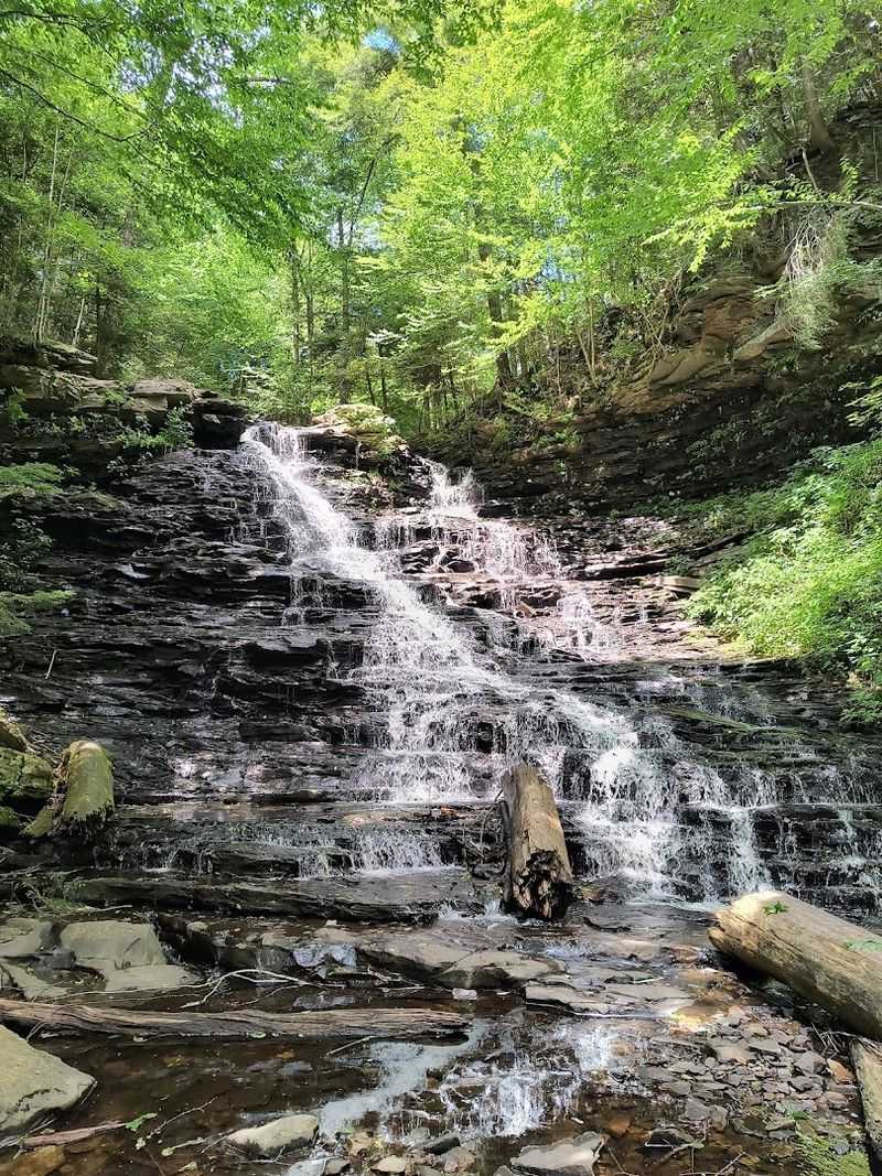 Turkey Path Trail, Leonard Harrison State Park, Wellsboro, Pennsylvania
