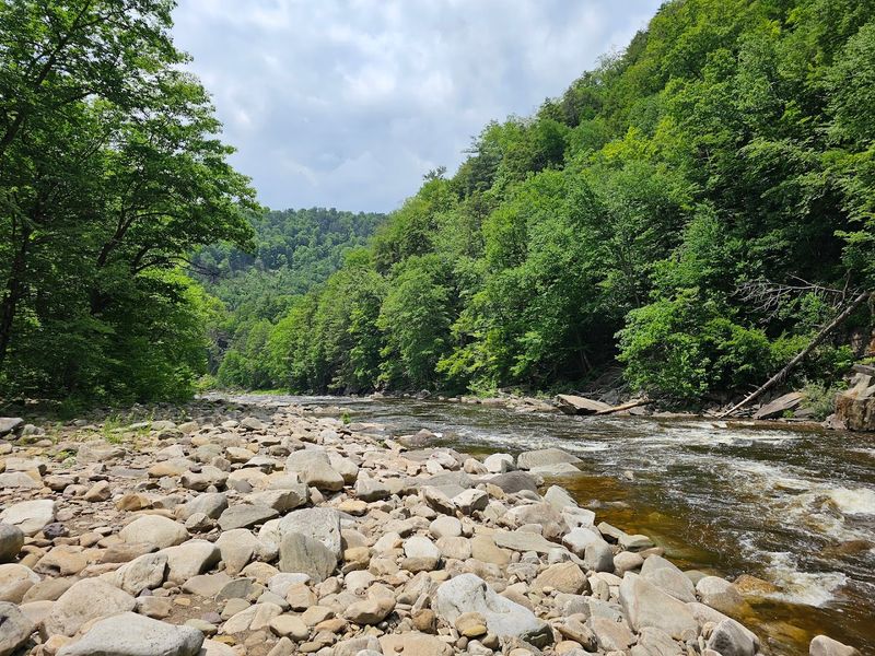 High Rock Trail, Worlds End State Park, PA