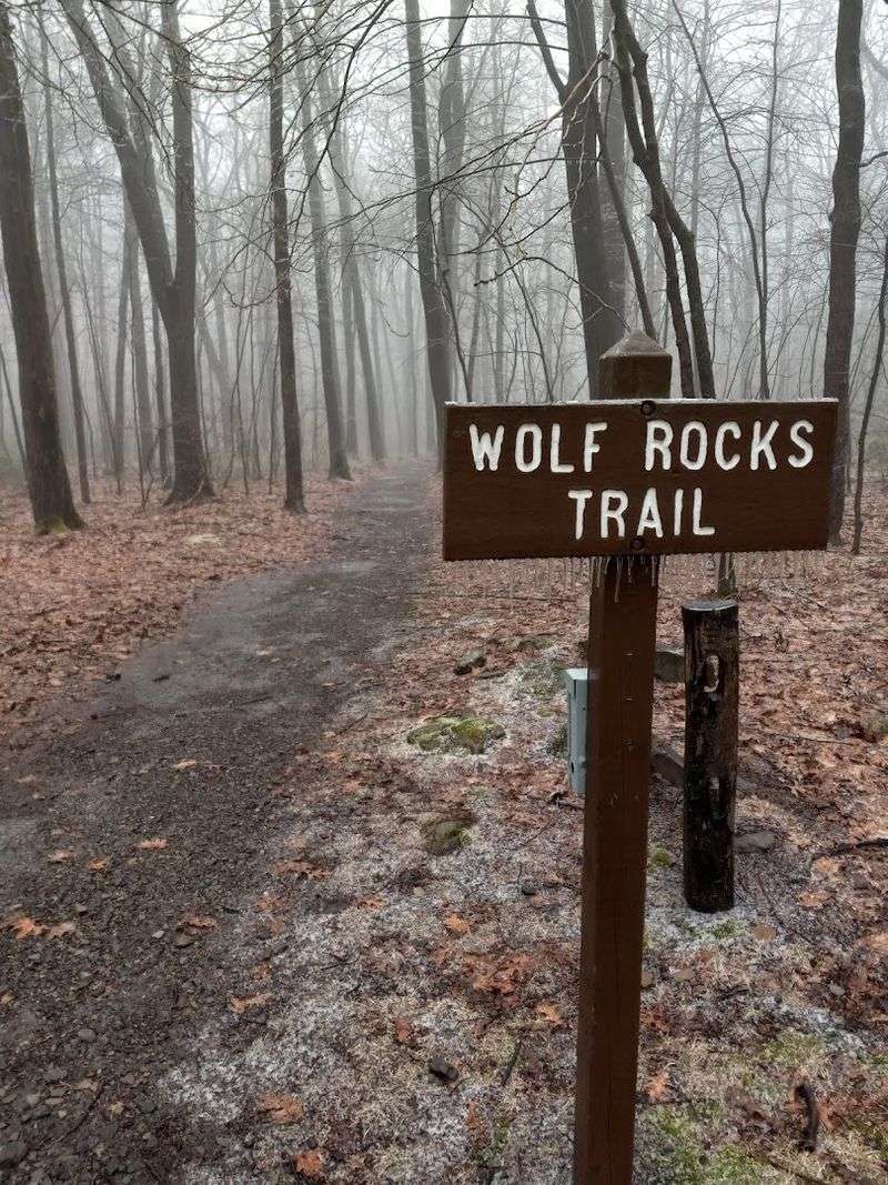 Wolf Rocks Loop Trail, Forbes State Forest