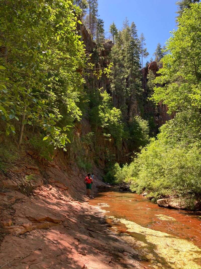 Boardwalks That Keep Your Boots Dry