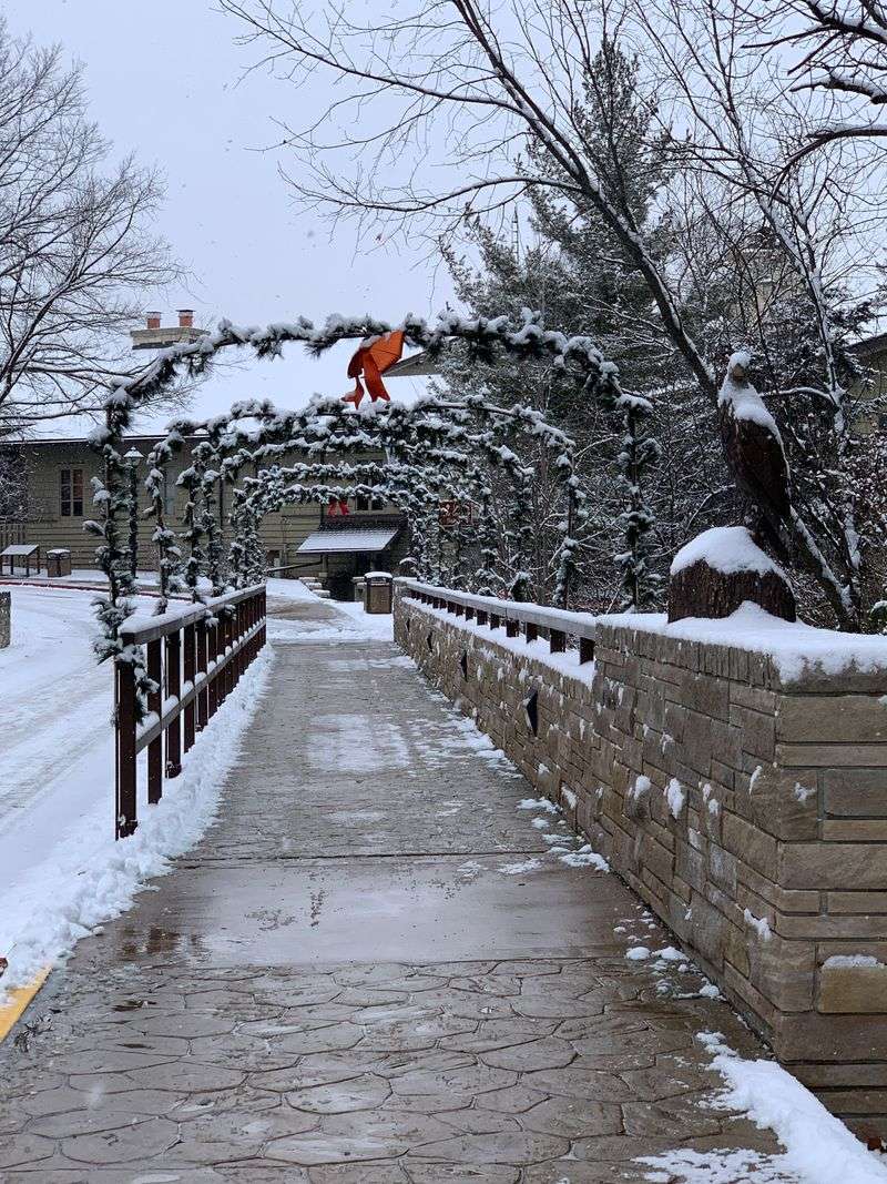 Eagle Watching Over The River