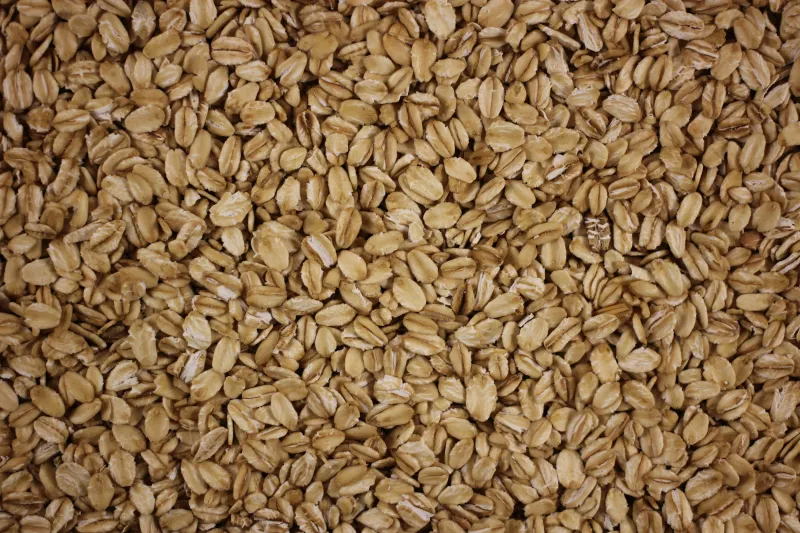 Malt-O-Meal's Oatmeal Catastrophe (2009)