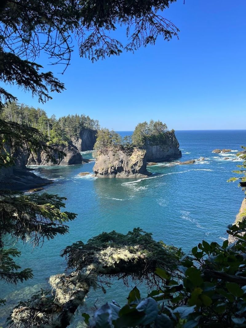 Cape Flattery, Olympic Peninsula