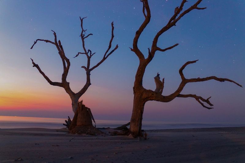 Cape Romain National Wildlife Refuge: The Bigger Picture