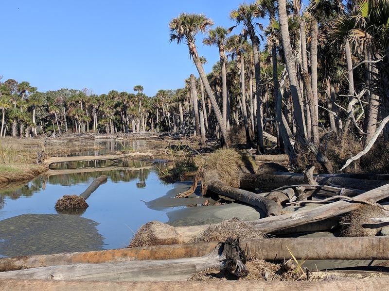 Cape Romain National Wildlife Refuge