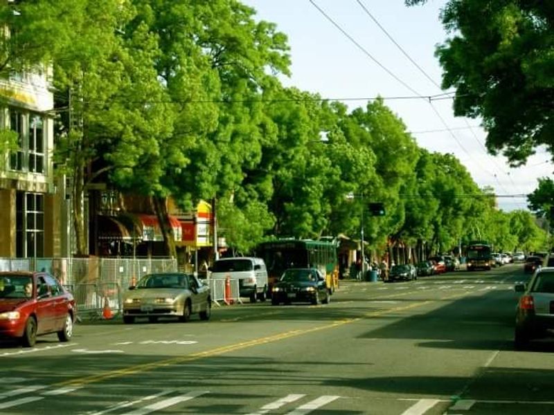 Capitol Hill Block Party, Seattle