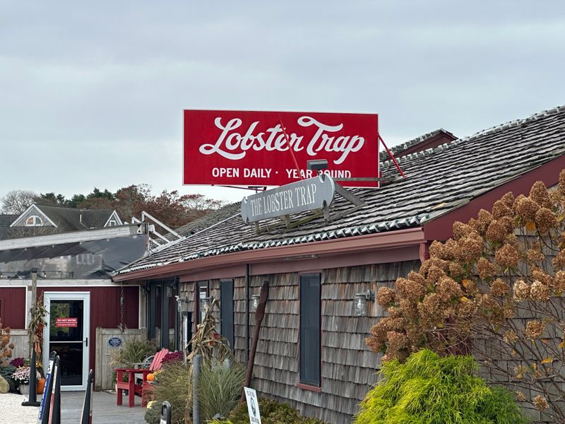 The Lobster Trap