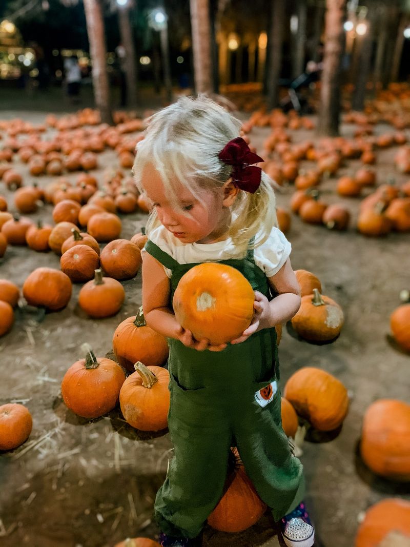 Capture Holiday Photos You Will Treasure