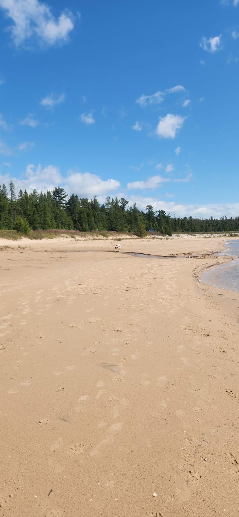 Carl A. Gerstacker Preserve