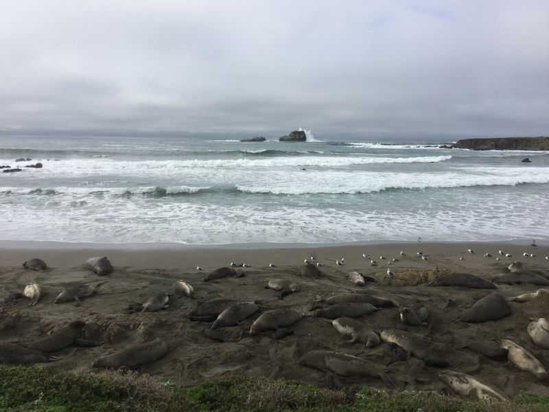 Cambria to Morro Bay along the Central Coast