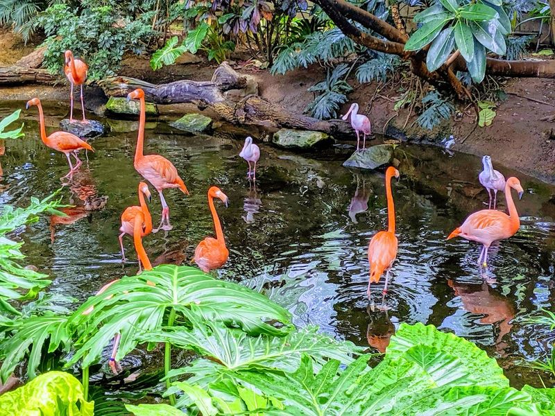 National Aviary, Pittsburgh, Pennsylvania