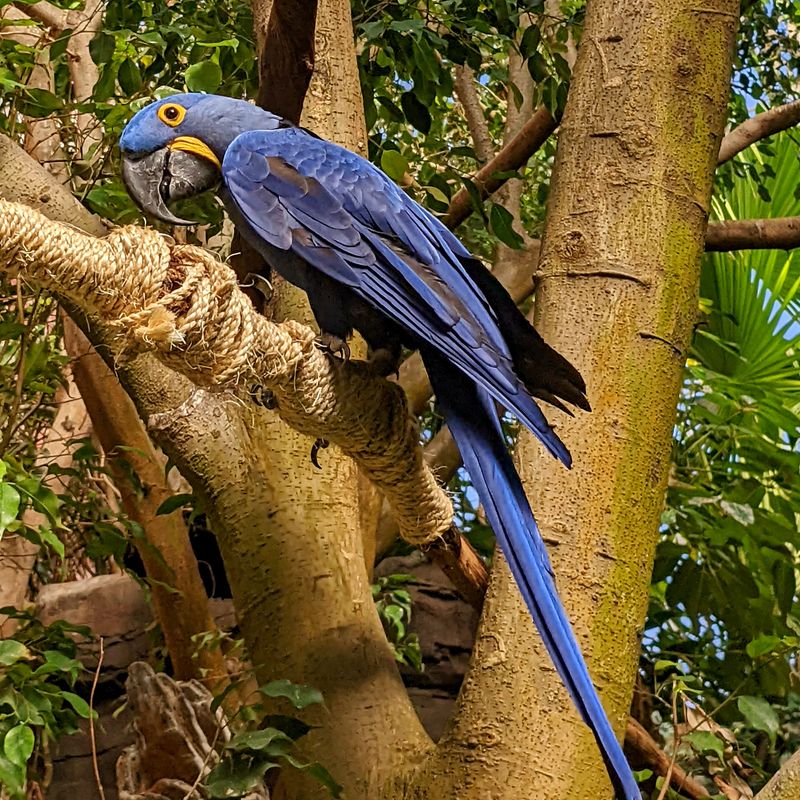 National Aviary — Pittsburgh, Pennsylvania