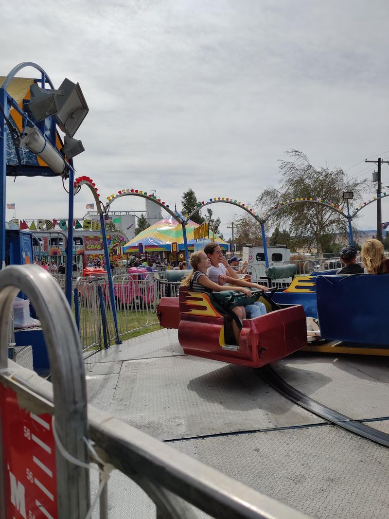 Carnival Rides, Exhibits, And Unexpected Surprises