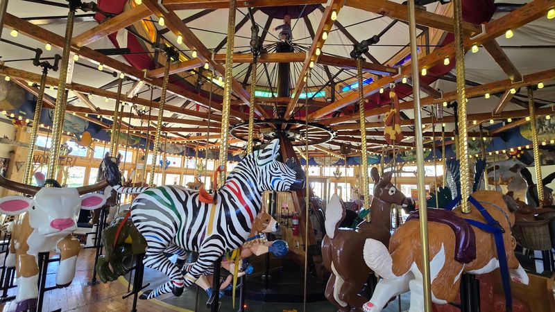 Carousel of Happiness, Nederland