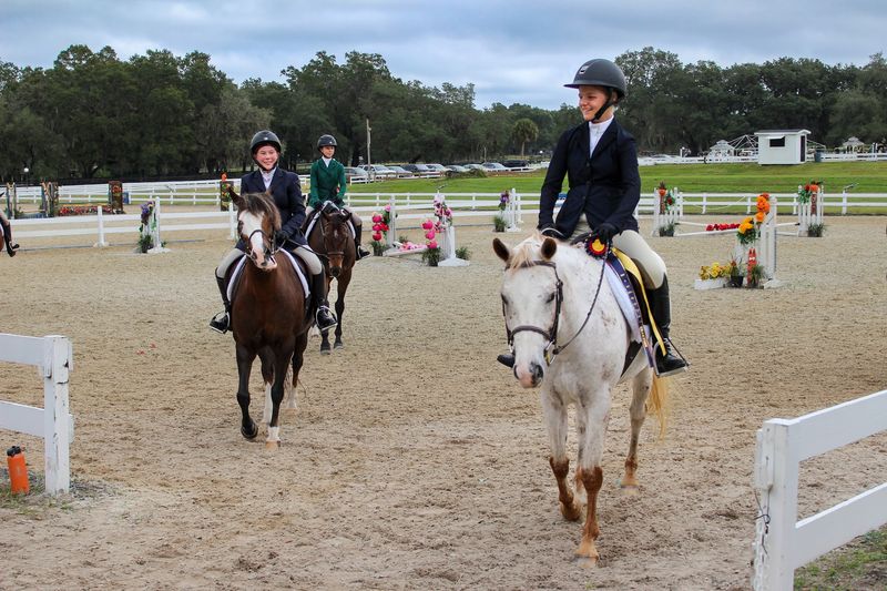 Carriage Driving Competitions Worth Cheering For Carriage Driving Competitions Worth Cheering For