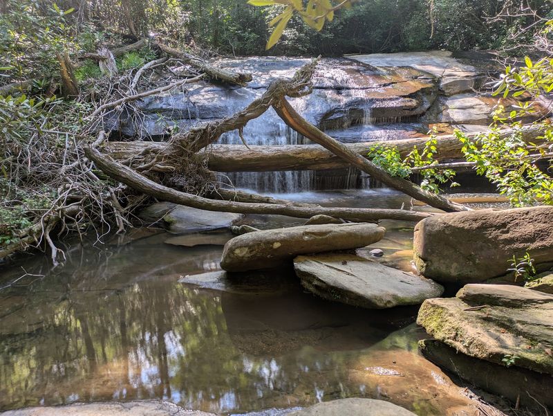 Carrick Creek And Its Hidden Waterfalls