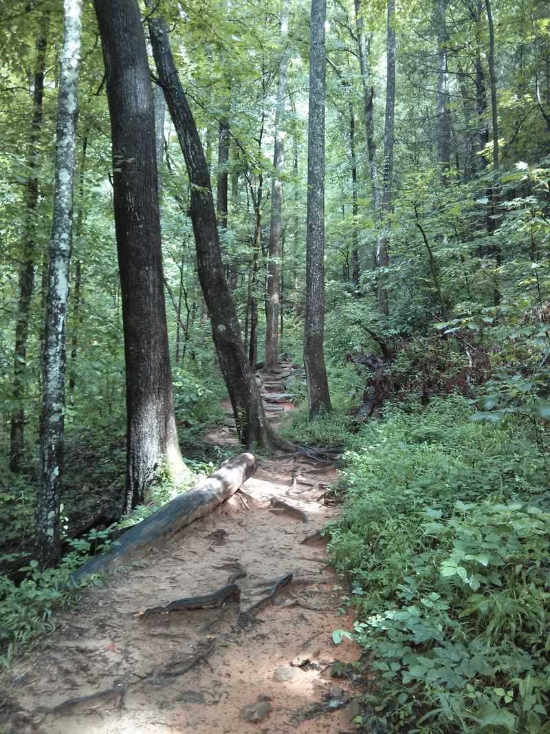 Carrick Creek Trail - Table Rock State Park