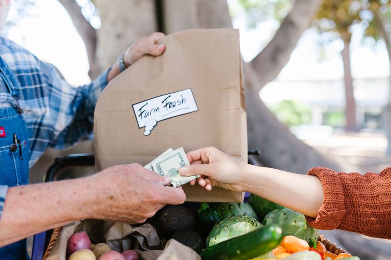 Carry Cash And A Simple Day Bag