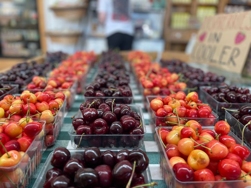 Carry Northern Michigan Cherries Home