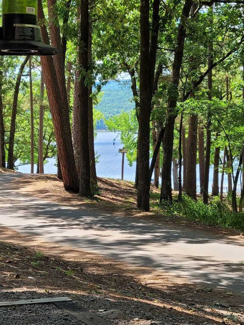 Carter Cove Park