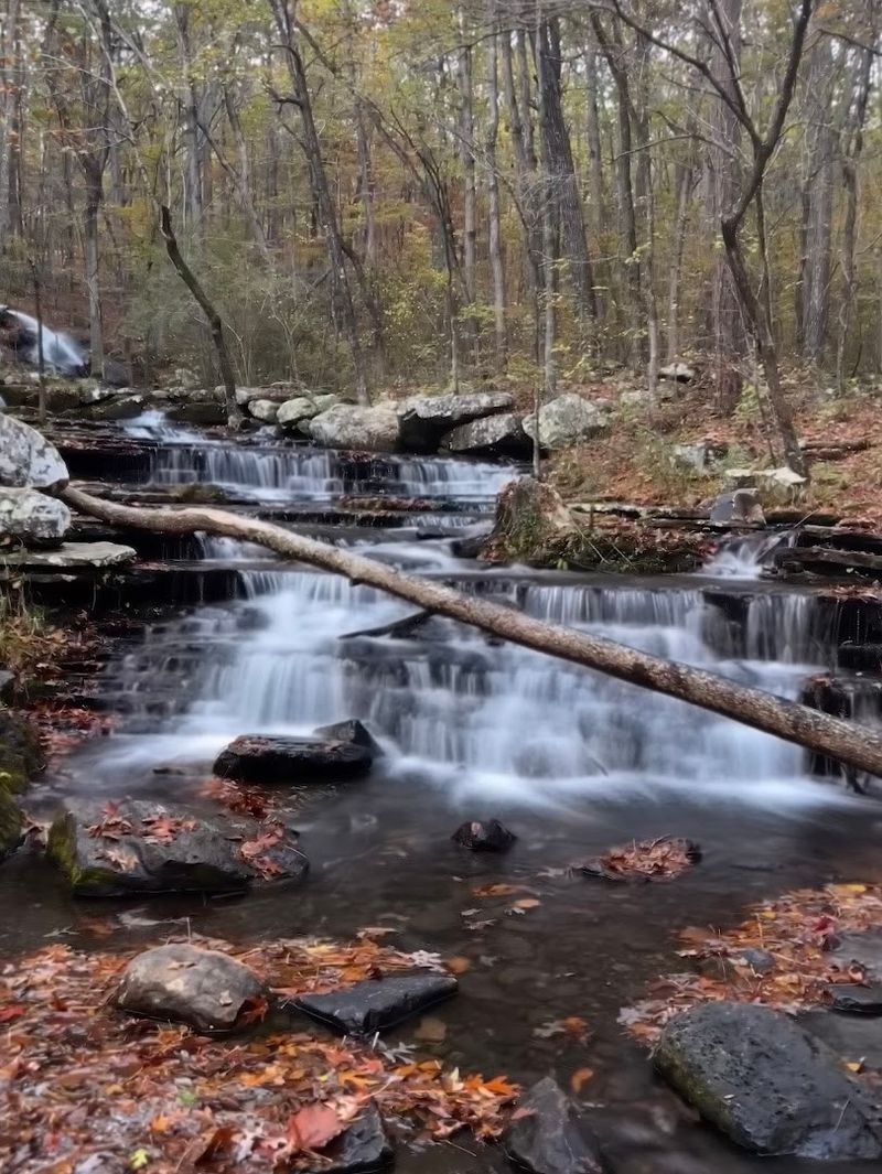 Cascades Hidden In The Woods