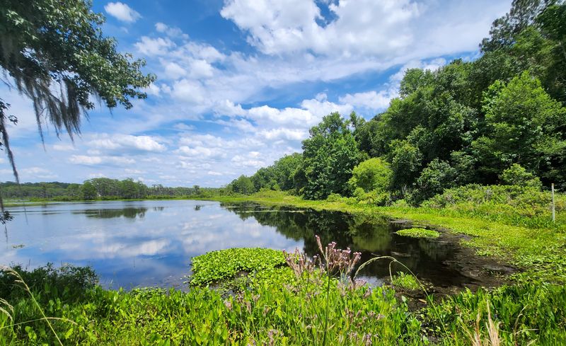 Alfred B. Maclay Gardens State Park: Formal Beauty, Wild Edges