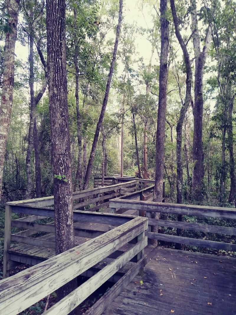 Falling Creek Boardwalk Trail 