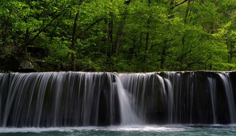 Waterfalls Hidden Throughout Rugged Forest Landscape