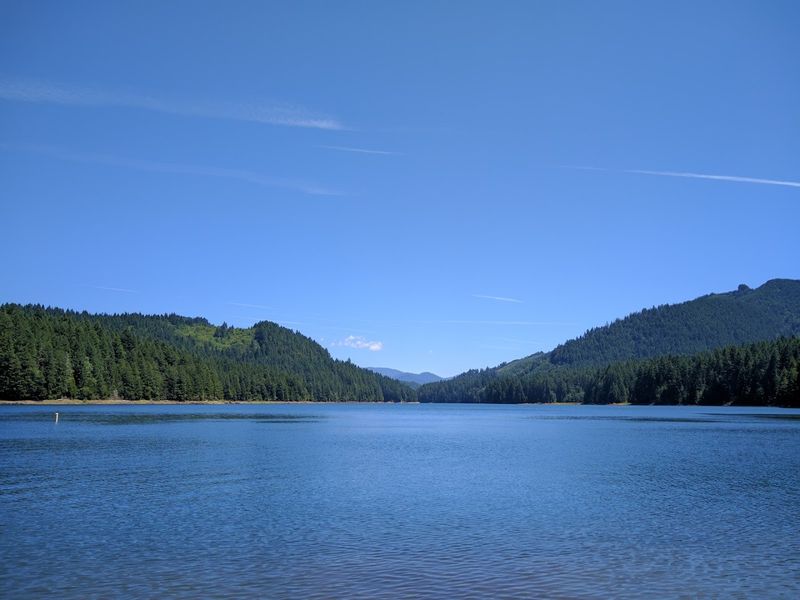 Cascara Campground At Fall Creek State Recreation Area