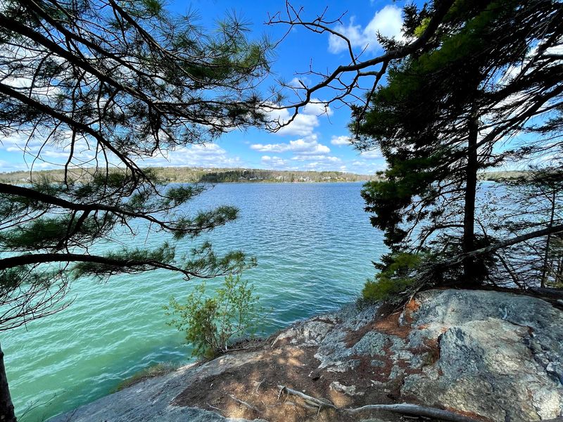 Casco Bay And White Pines Trails, Wolfe's Neck Woods State Park, Freeport