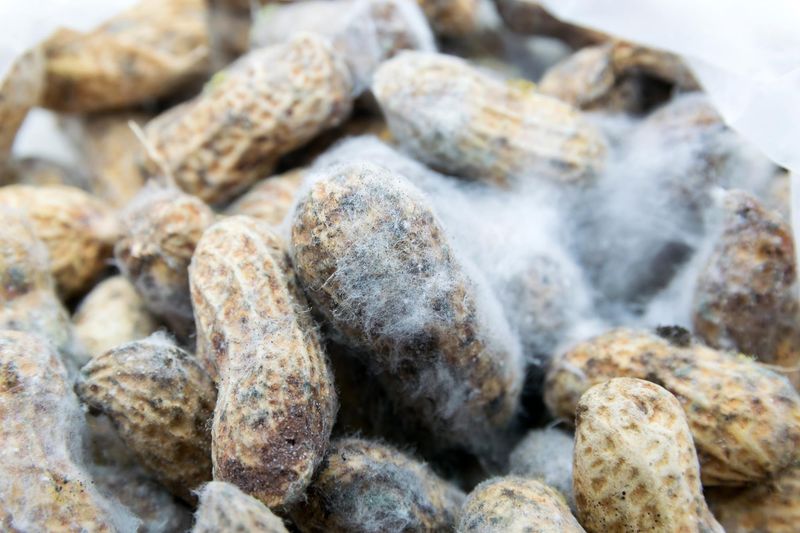 Conventional Peanuts: Aflatoxin Concerns