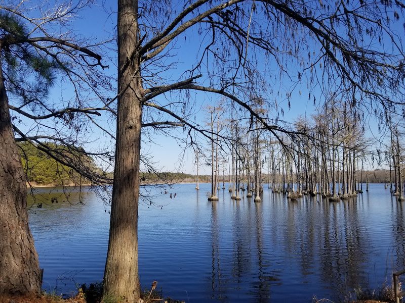 Cast A Line For Bass, Bream, And A Little Peace And Quiet