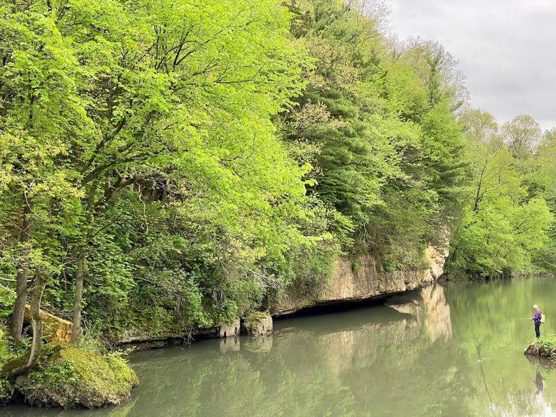 Cast A Line In The Creek