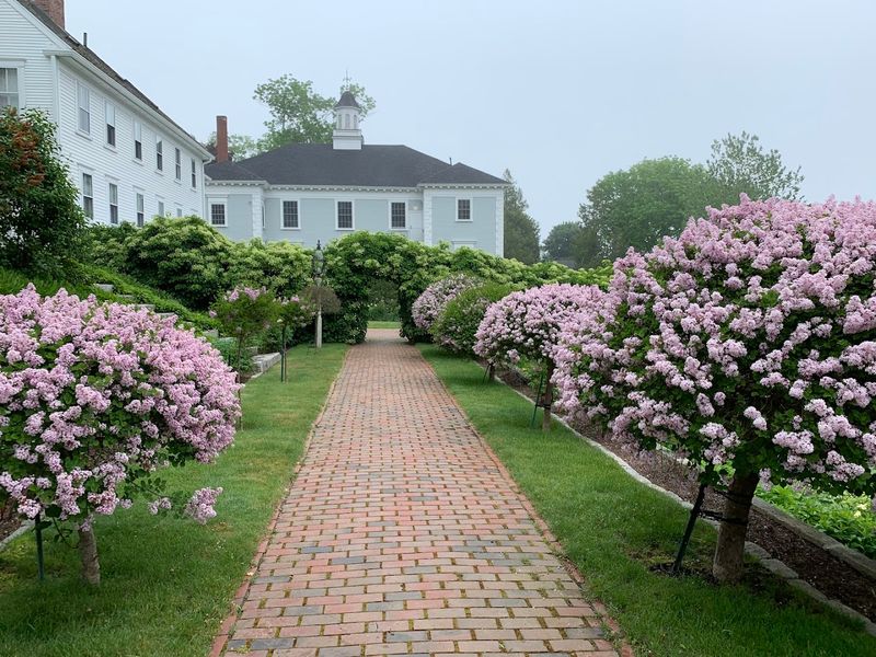 Castine