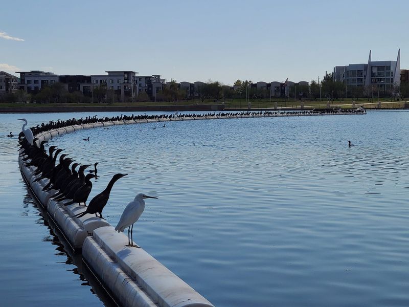 Casting a Line by the City