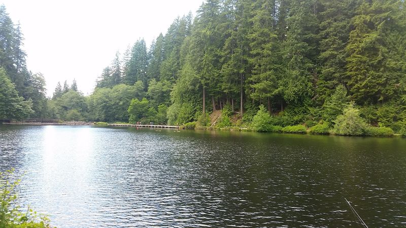 Casting a Line for Trout