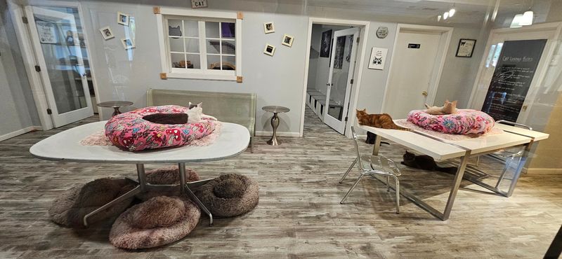 The Atmosphere Is Clean, Calm, and Genuinely Welcoming