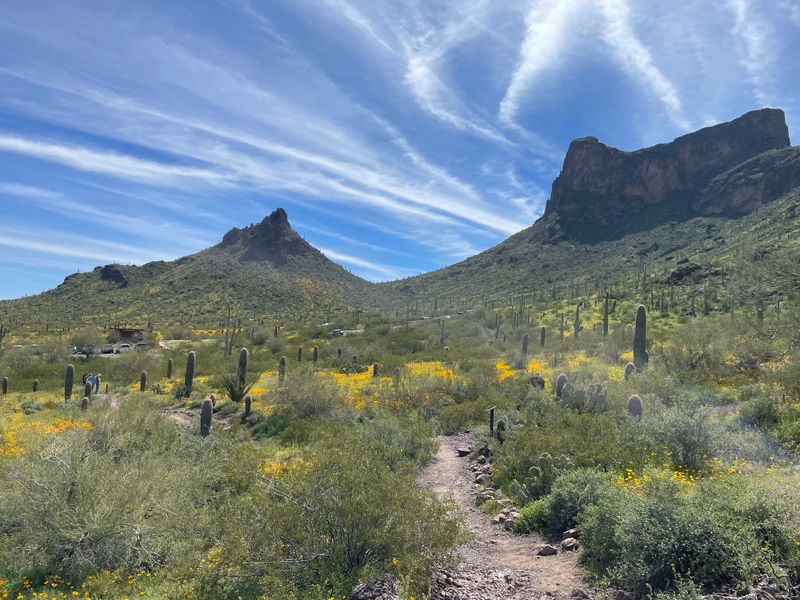 Picacho Peak State Park - 15520 Picacho Peak Rd, Picacho
