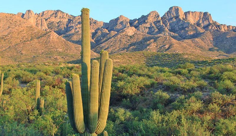 Catalina State Park Campground, Oro Valley