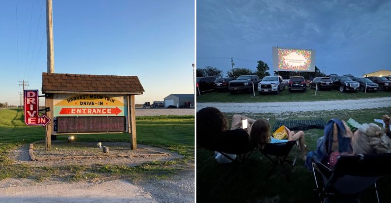 Catch A Blockbuster At This Illinois Drive-In With Elephant Ears And Frozen Bananas