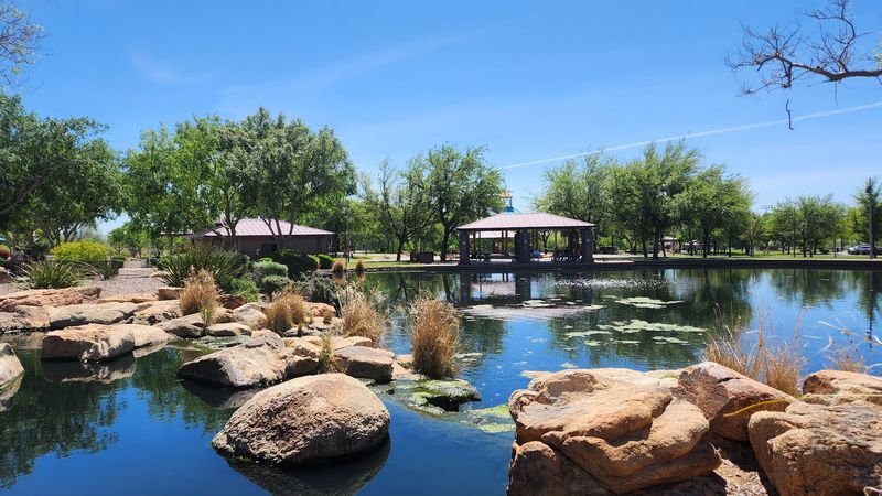 Catch-And-Release Fishing Lakes