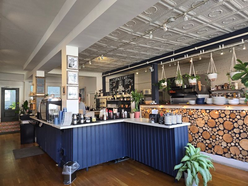Catface Cafe