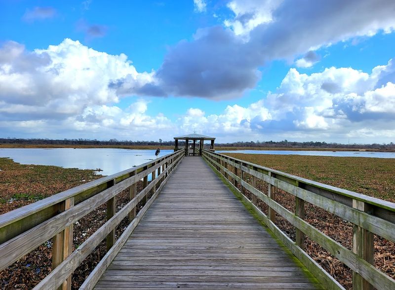 Cattail Marsh Scenic Wetlands & Boardwalk Cattail Marsh Scenic Wetlands & Boardwalk