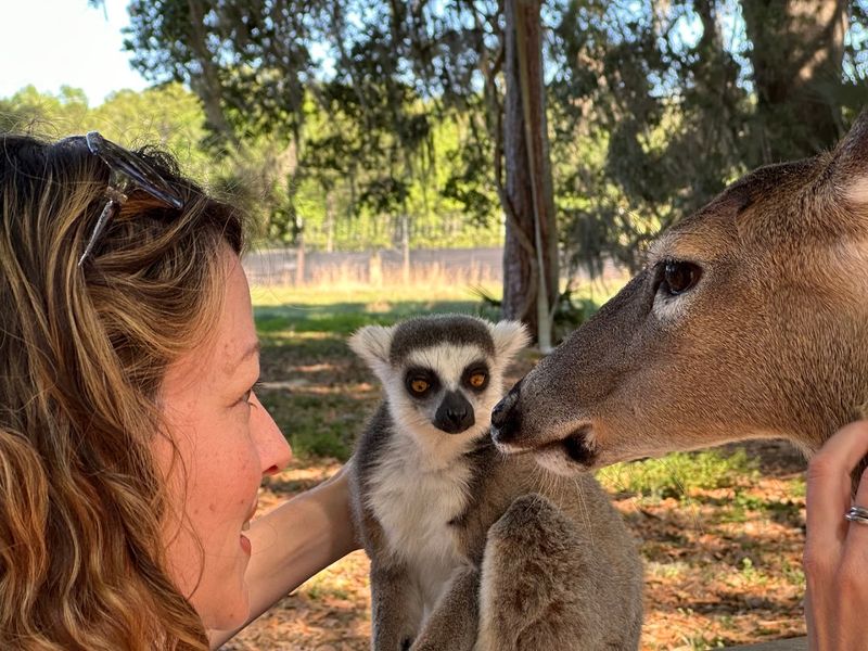Chase Sanctuary and Wildlife Conservancy